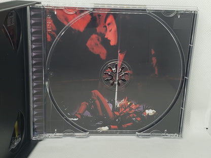Persona 2 - Custom Case
