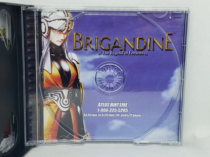 Brigandine - Custom Case