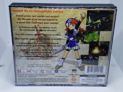 Grandia - Custom Case
