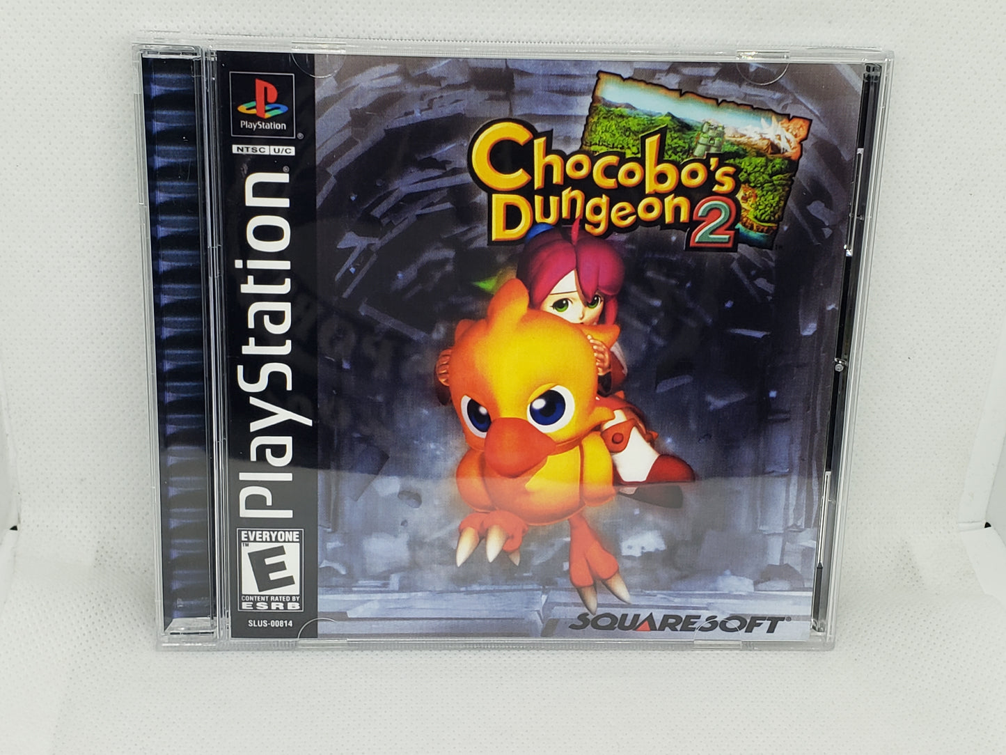 Chocobo Dungeon 2 - Custom Case