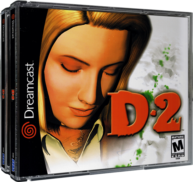 D2 - Custom Case
