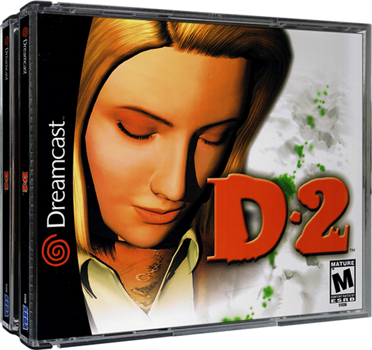 D2 - Custom Case