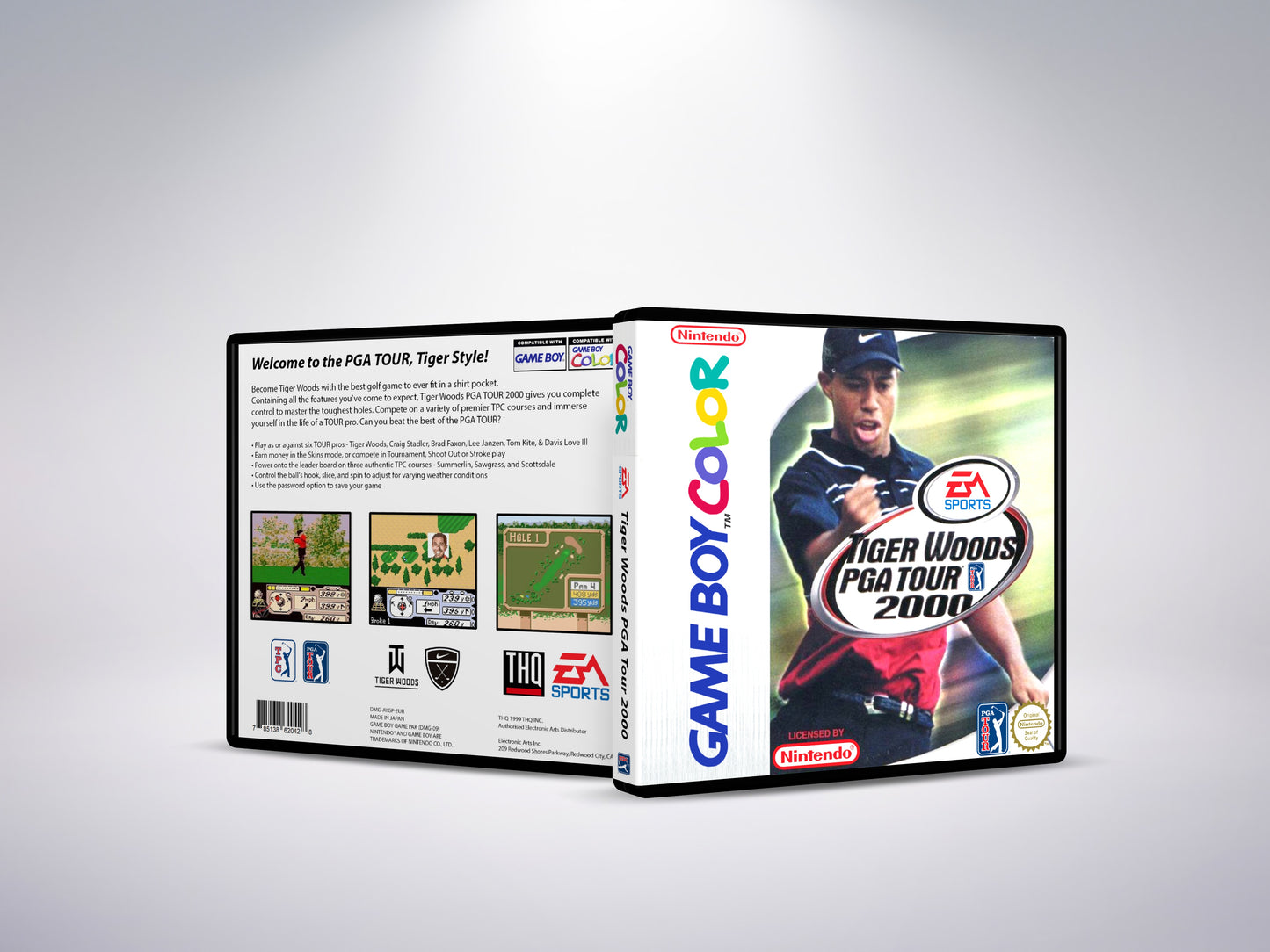 Tiger Woods PGA Tour 2000 - Custom Case