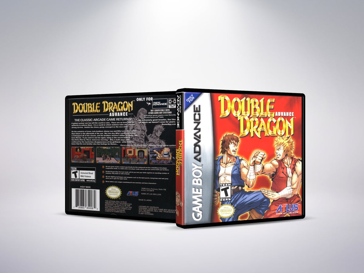 Double Dragon Advance - Custom Case