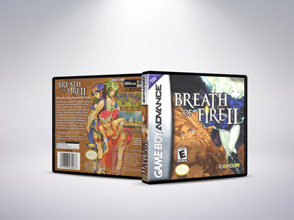 Breath of Fire II - Custom Case