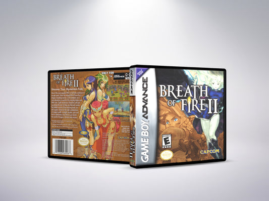 Breath of Fire II - Custom Case
