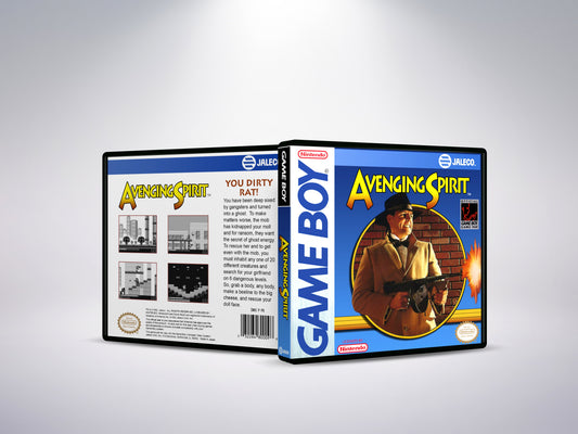 Avenging Spirit - Custom Case