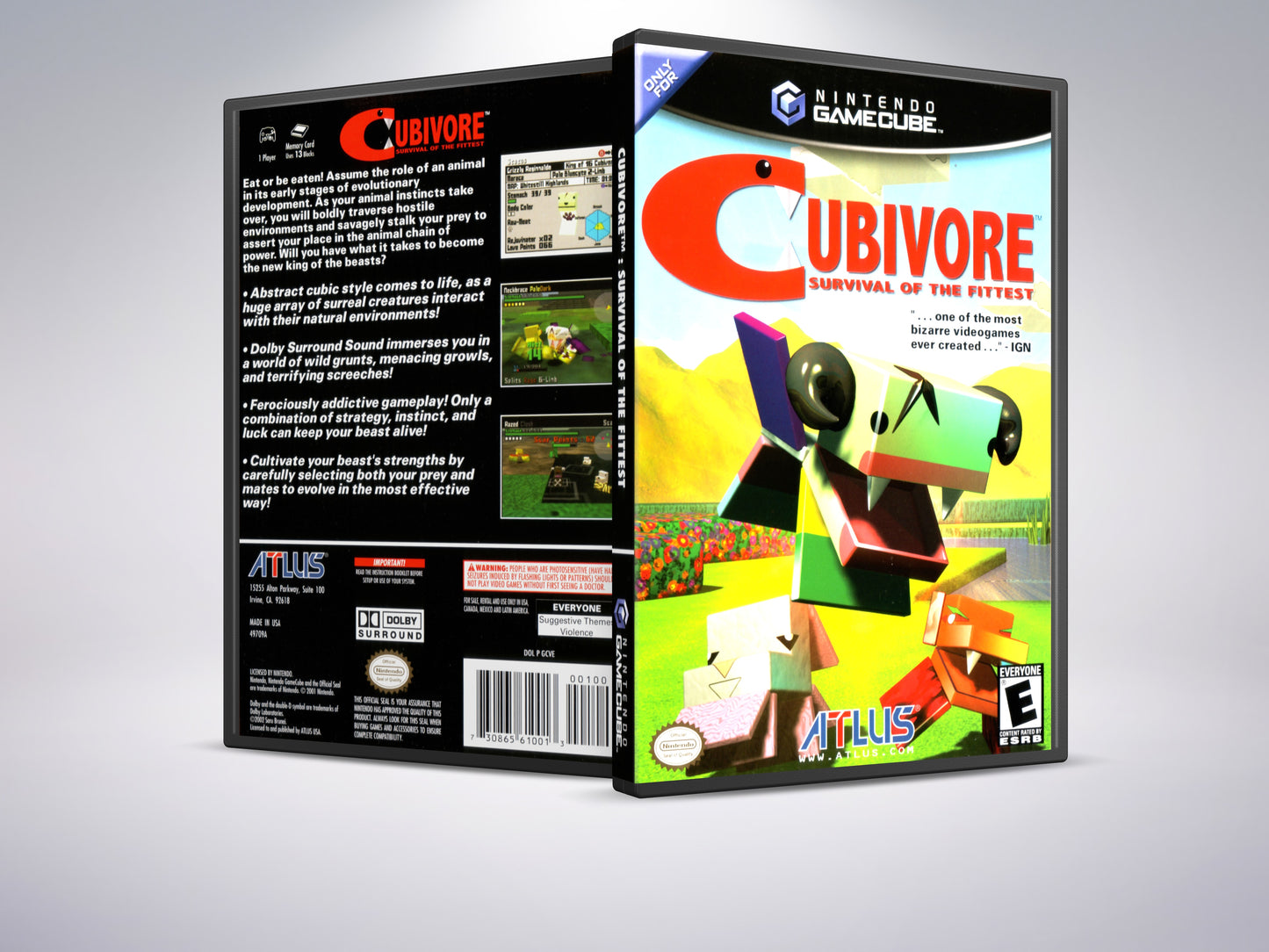 Cases C
