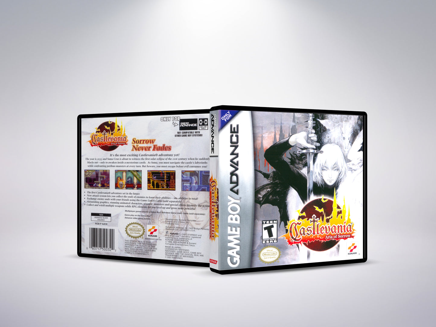 Castlevania Aeria of Sorrow - Custom Case