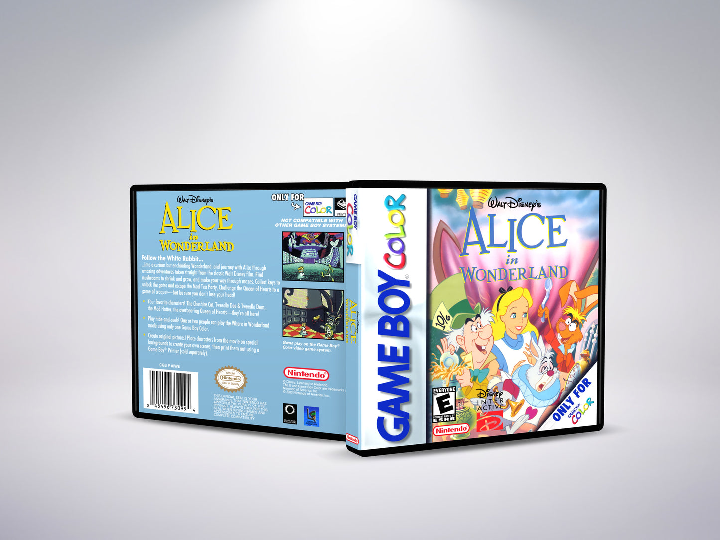 Alice in Wonderland - Custom Case